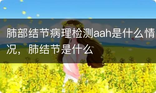 肺部结节病理检测aah是什么情况，肺结节是什么