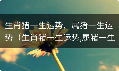生肖猪一生运势，属猪一生运势（生肖猪一生运势,属猪一生运势怎么样）