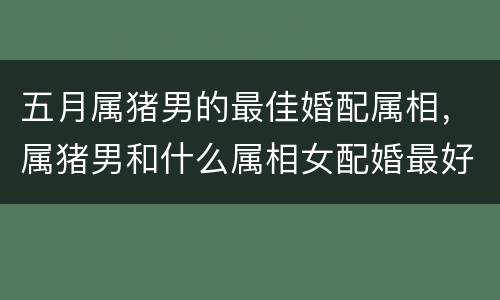 五月属猪男的最佳婚配属相，属猪男和什么属相女配婚最好