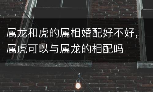属龙和虎的属相婚配好不好，属虎可以与属龙的相配吗