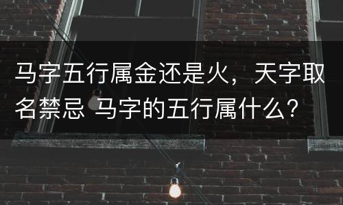 马字五行属金还是火，天字取名禁忌 马字的五行属什么?
