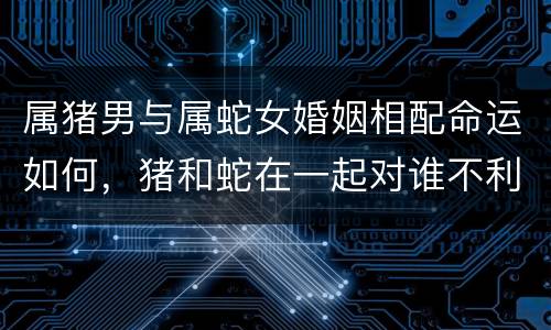属猪男与属蛇女婚姻相配命运如何，猪和蛇在一起对谁不利