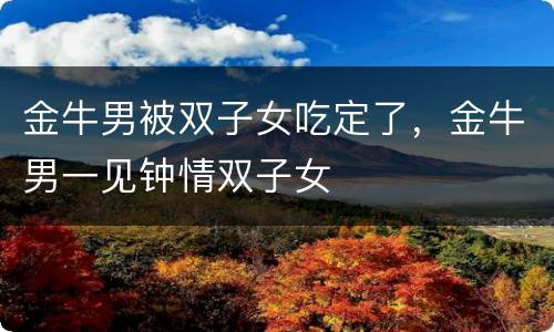 金牛男被双子女吃定了，金牛男一见钟情双子女