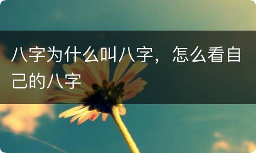 八字为什么叫八字，怎么看自己的八字
