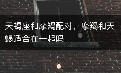 天蝎座和摩羯配对，摩羯和天蝎适合在一起吗