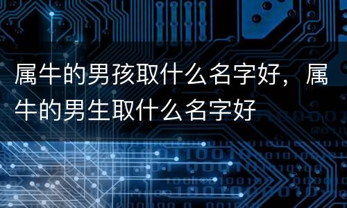 属牛的男孩取什么名字好，属牛的男生取什么名字好