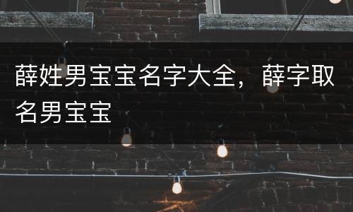 薛姓男宝宝名字大全，薛字取名男宝宝