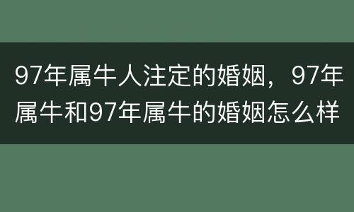 97年属牛人注定的婚姻，97年属牛和97年属牛的婚姻怎么样