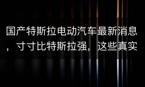 国产特斯拉电动汽车最新消息，寸寸比特斯拉强，这些真实力国产纯电动车