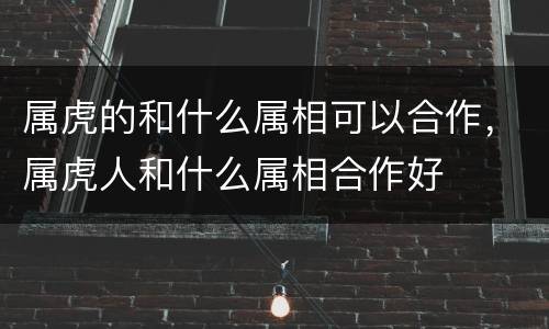 属虎的和什么属相可以合作，属虎人和什么属相合作好