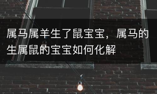 属马属羊生了鼠宝宝，属马的生属鼠的宝宝如何化解