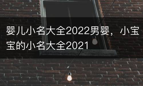 婴儿小名大全2022男婴，小宝宝的小名大全2021