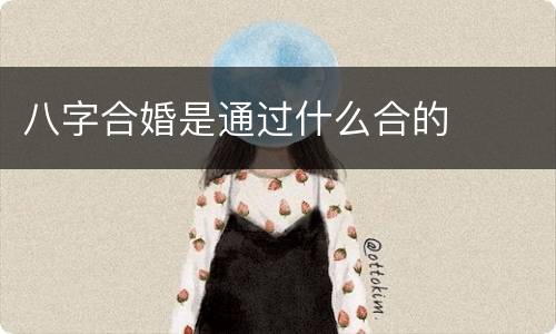 八字合婚是通过什么合的