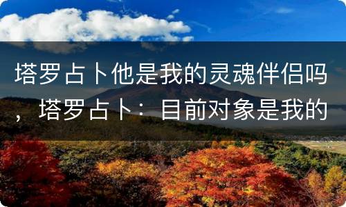 塔罗占卜他是我的灵魂伴侣吗，塔罗占卜：目前对象是我的对的人吗