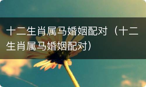 十二生肖属马婚姻配对（十二生肖属马婚姻配对）