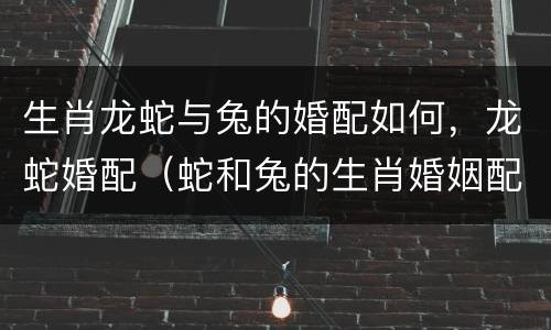 生肖龙蛇与兔的婚配如何，龙蛇婚配（蛇和兔的生肖婚姻配吗）