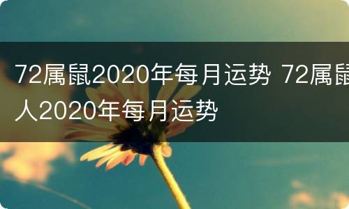 72属鼠2020年每月运势 72属鼠人2020年每月运势