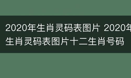 2020年生肖灵码表图片 2020年生肖灵码表图片十二生肖号码表