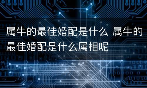属牛的最佳婚配是什么 属牛的最佳婚配是什么属相呢