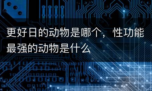 更好日的动物是哪个，性功能最强的动物是什么
