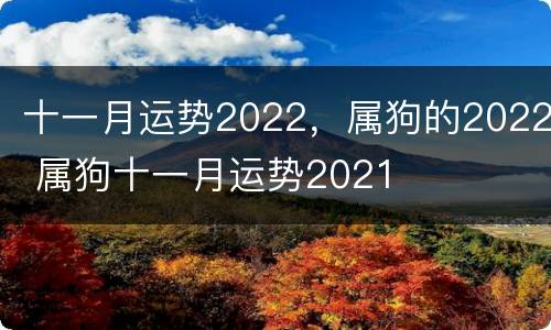 十一月运势2022，属狗的2022 属狗十一月运势2021