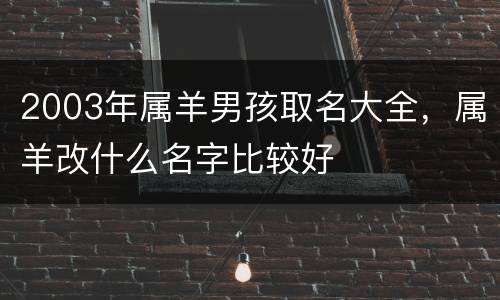 2003年属羊男孩取名大全，属羊改什么名字比较好