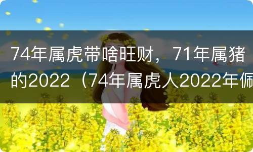 74年属虎带啥旺财，71年属猪的2022（74年属虎人2022年佩戴什么好）
