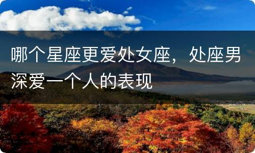 哪个星座更爱处女座，处座男深爱一个人的表现
