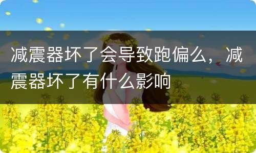 减震器坏了会导致跑偏么，减震器坏了有什么影响