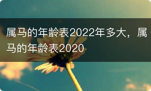 属马的年龄表2022年多大，属马的年龄表2020