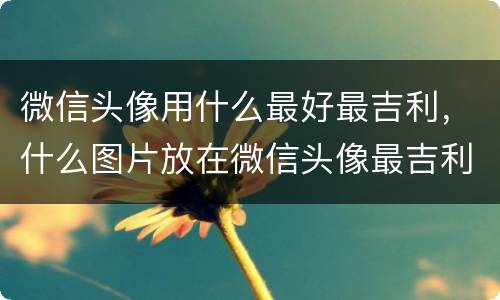 微信头像用什么最好最吉利，什么图片放在微信头像最吉利