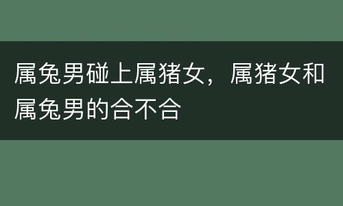 属兔男碰上属猪女，属猪女和属兔男的合不合