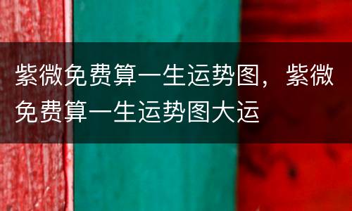 紫微免费算一生运势图，紫微免费算一生运势图大运
