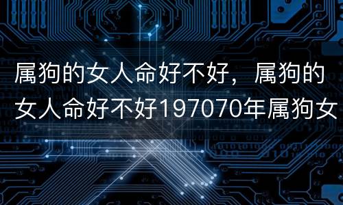 属狗的女人命好不好，属狗的女人命好不好197070年属狗女人命运如何