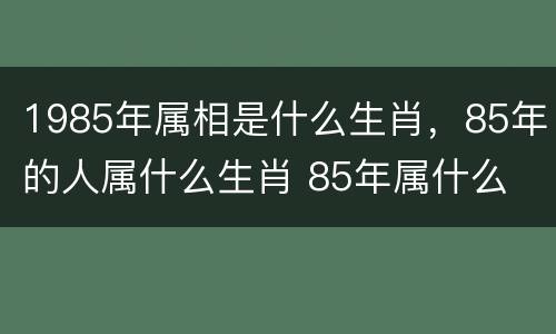 1985年属相是什么生肖，85年的人属什么生肖 85年属什么