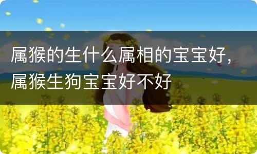 属猴的生什么属相的宝宝好，属猴生狗宝宝好不好