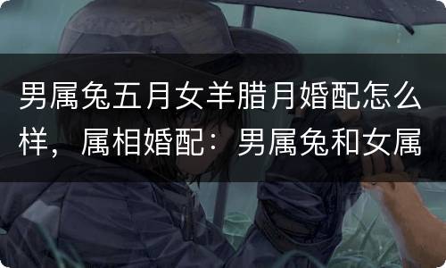 男属兔五月女羊腊月婚配怎么样，属相婚配：男属兔和女属牛相配吗