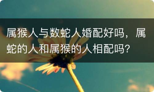 属猴人与数蛇人婚配好吗，属蛇的人和属猴的人相配吗？