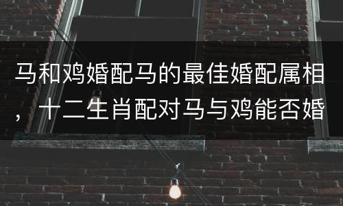 马和鸡婚配马的最佳婚配属相，十二生肖配对马与鸡能否婚配配
