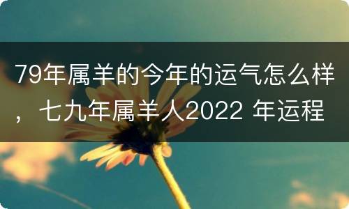 79年属羊的今年的运气怎么样，七九年属羊人2022 年运程
