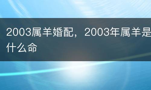 2003属羊婚配，2003年属羊是什么命