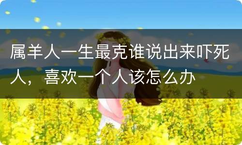 属羊人一生最克谁说出来吓死人，喜欢一个人该怎么办