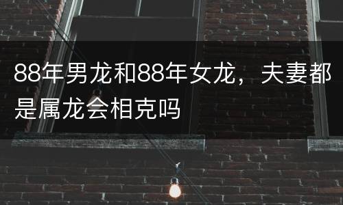 88年男龙和88年女龙，夫妻都是属龙会相克吗