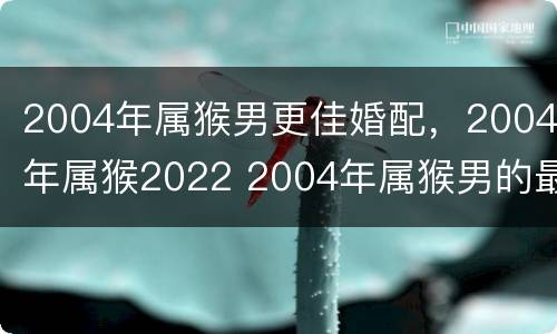 2004年属猴男更佳婚配，2004年属猴2022 2004年属猴男的最佳婚配