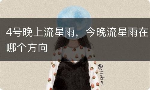 4号晚上流星雨，今晚流星雨在哪个方向