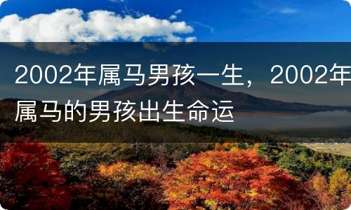 2002年属马男孩一生，2002年属马的男孩出生命运