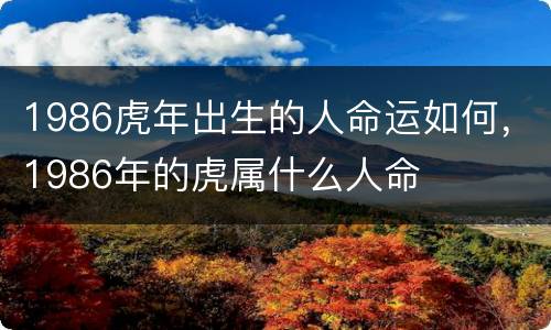 1986虎年出生的人命运如何，1986年的虎属什么人命