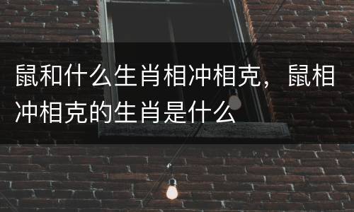 鼠和什么生肖相冲相克，鼠相冲相克的生肖是什么