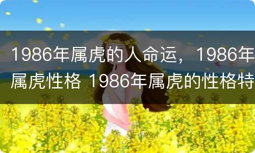 1986年属虎的人命运，1986年属虎性格 1986年属虎的性格特点