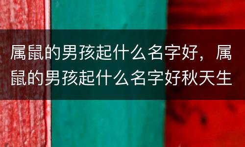 属鼠的男孩起什么名字好，属鼠的男孩起什么名字好秋天生的